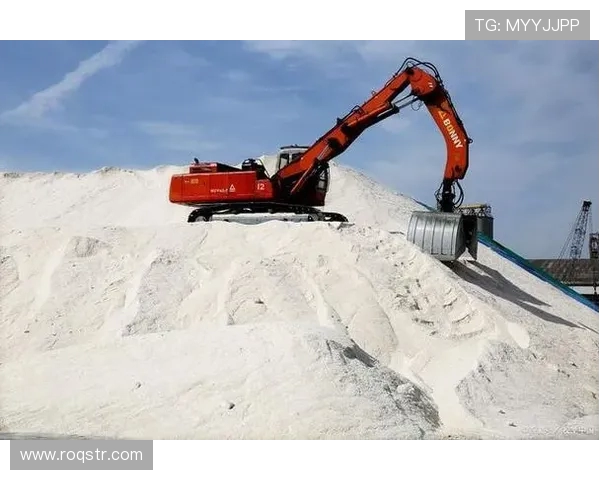 挖掘机盐湖开采专用机型