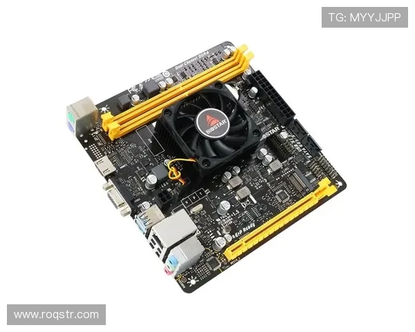 挖掘机防倾翻保护结构